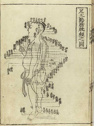 Traditional Chinese medicine focuses on the movement of qi through meridians, or channels linked to specific internal organs. Sitting in the double lotus position can open up these meridians and improve overall health. (Image: Creative Commons CC BY SA)
